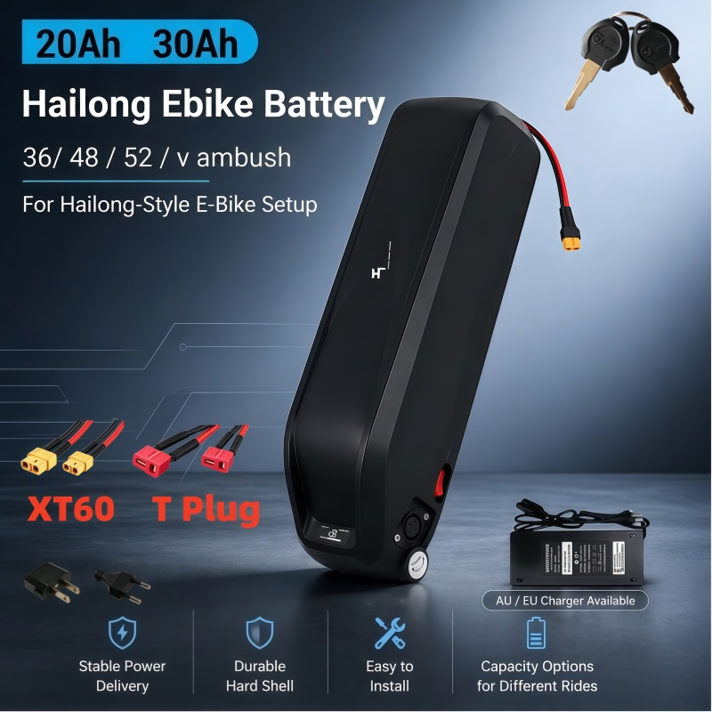 Ebike Battery 48V 20Ah Hailong - Batería Hailong Versátil, Multivoltaje 36V 48V