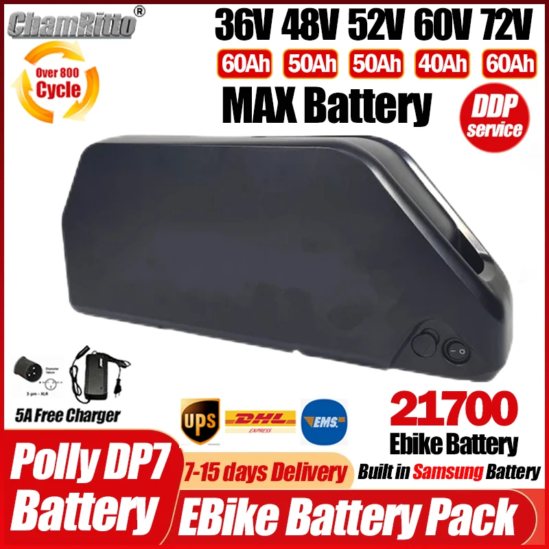 Ebike Battery 48V 20Ah Hailong - Batería Hailong Polly DP7 para E-bike,